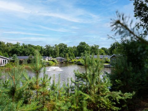 TopParken Recreatiepark Beekbergen - Apeldoorn - Image N°28