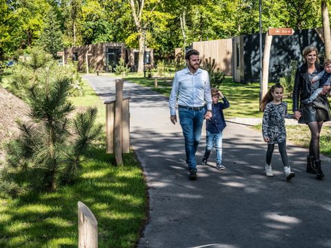 Summio Vakantiepark Schaijk - Landerd - Image N°26