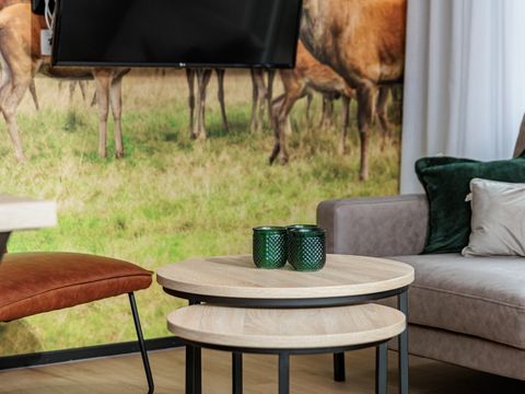 Summio Vakantiepark Schaijk - Landerd - Image N°3