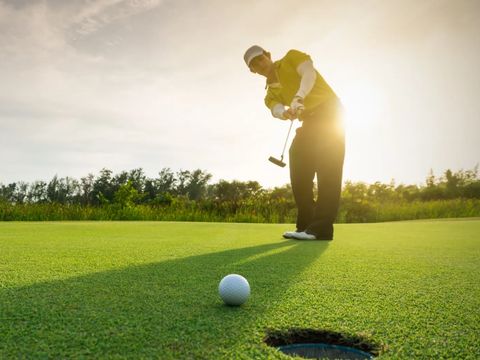 Landal Duinpark 't Hof van Haamstede - Schouwen-Duiveland