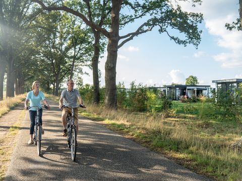 Landal De Vlinderhoeve - Lochem