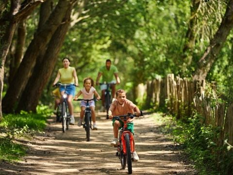 Center Parcs Park De Haan - Camping Westflandern - Image N°3