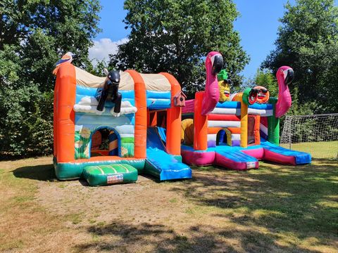 Camping de Vinkenkamp - Apeldoorn - Image N°8