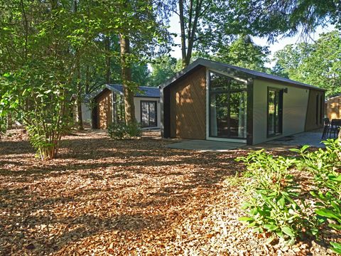 EuroParcs Utrechtse Heuvelrug - Camping Utrechtse Heuvelrug - Image N°0