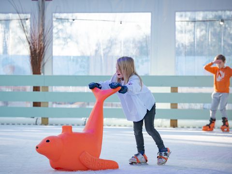 Familie Resort Molenwaard - Molenlanden - Image N°48