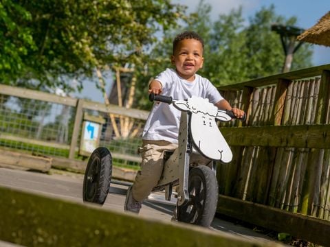 Familie Resort Molenwaard - Camping Molenlanden - Image N°2