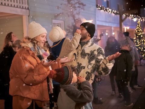 Familie Resort Molenwaard - Camping Molenlanden - Image N°2