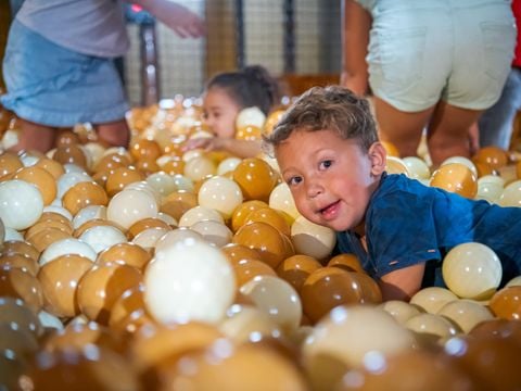Familie Resort Molenwaard - Camping Molenlanden - Image N°4