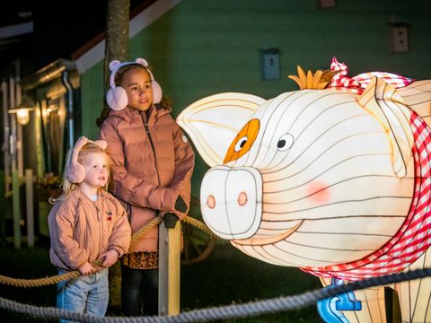 Familie Resort Molenwaard - Camping Molenlanden - Image N°3