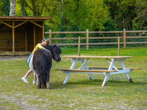 EuroParcs Hoge Kempen - Belgisches Limburg - Image N°22