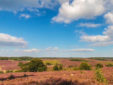 EuroParcs Hoge Kempen - Belgisches Limburg - Image N°13