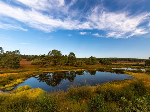 EuroParcs Hoge Kempen - Belgisches Limburg - Image N°7