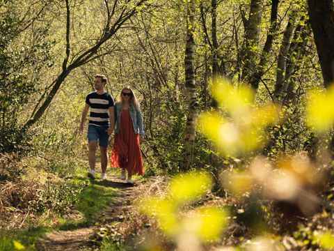 EuroParcs Hoge Kempen - Belgisches Limburg - Image N°8