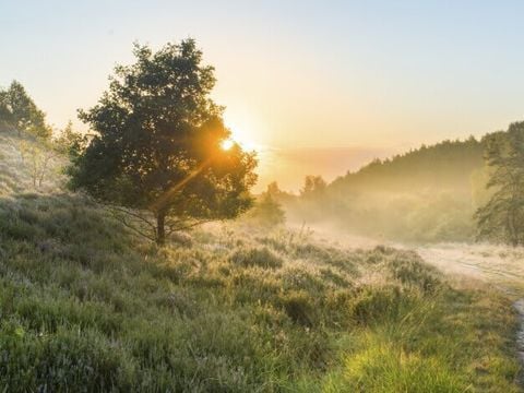 EuroParcs Hoge Kempen - Belgisches Limburg - Image N°11