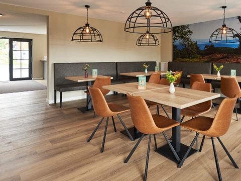 UplandParcs Winterberg - Camping Nordrhein-Westfalen - Image N°3