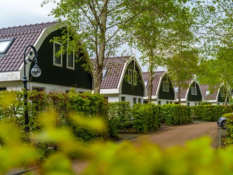 EuroParcs Koningshof - Bergen - Image N°15