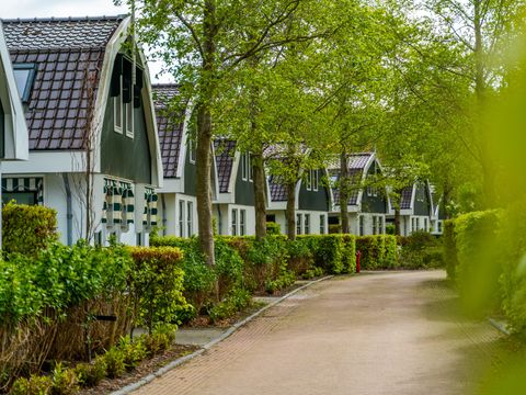 EuroParcs Koningshof - Bergen - Image N°14