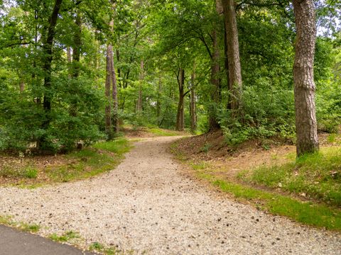 Landal  Park De Peel - Deurne - Image N°34