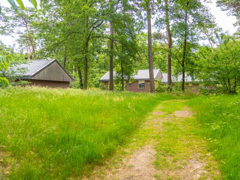 Landal  Park De Peel - Deurne - Image N°31
