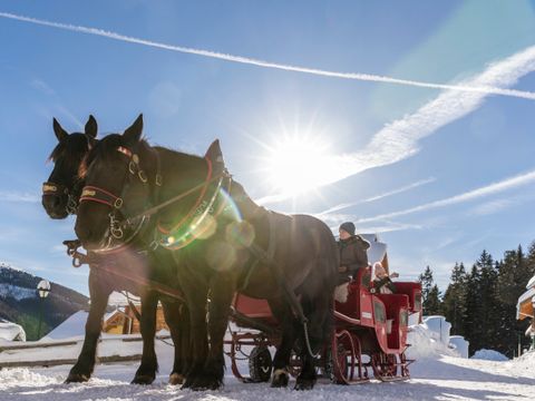 Landal Katschberg - Kärnten