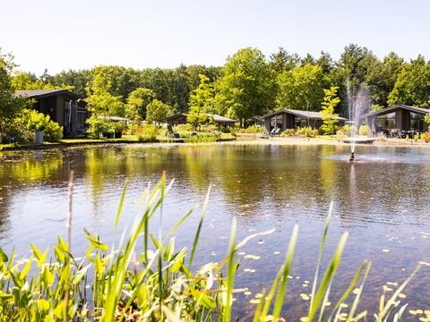 Vakantiepark Molenvelden - Veldhoven - Image N°16