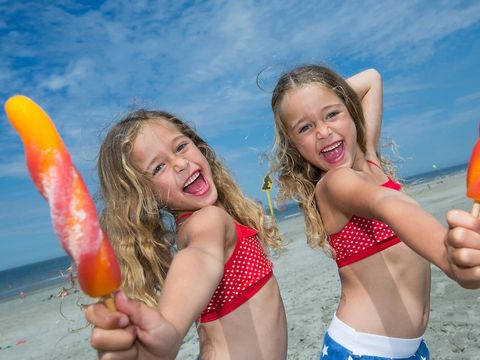 Landal Camping De Zandput - Veere - Image N°2