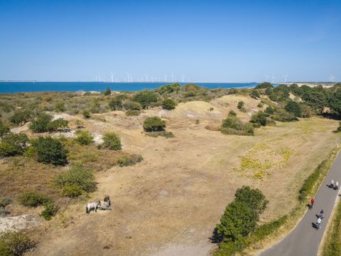 Landal Camping De Zandput - Veere - Image N°3