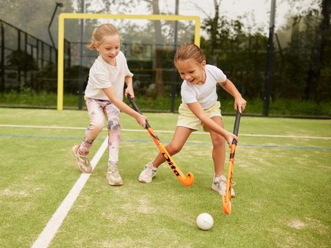 Brinckerduyn - Ooststellingwerf - Image N°3