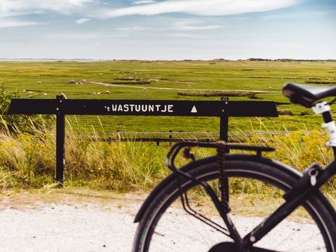Landal Ameland - Ameland - Image N°18