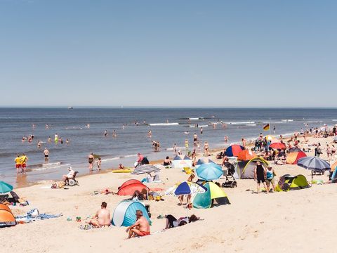 Landal Ameland - Ameland - Image N°26