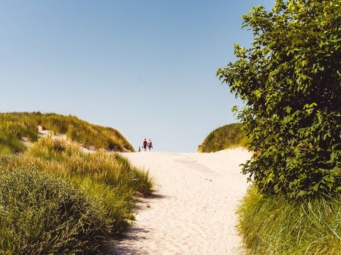 Landal Ameland - Ameland - Image N°17