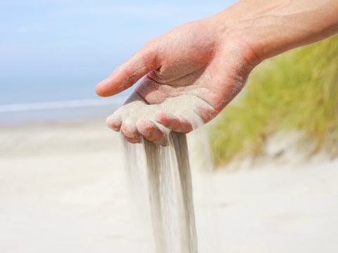 Landal Ameland - Ameland - Image N°20