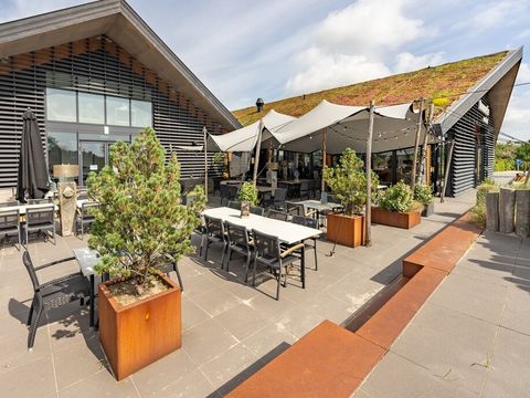 Landal Ameland - Ameland