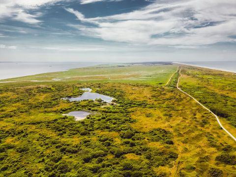 Landal Ameland - Ameland - Image N°23