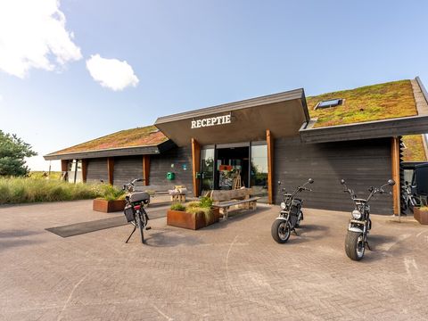 Roompot Ameland - Camping Ameland - Image N°4