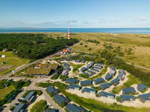 Landal Ameland - Ameland - Image N°16