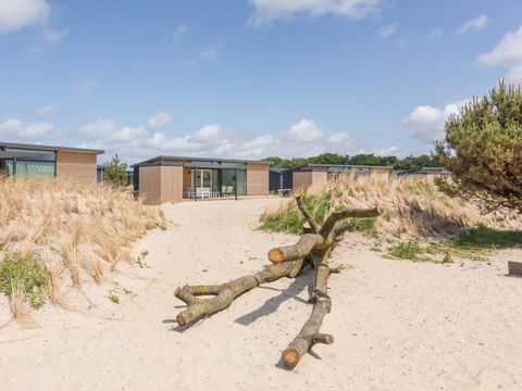 Landal Ameland - Ameland - Image N°22
