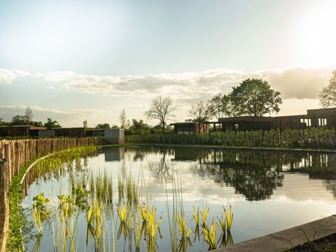 Hofparken Wiltershaar - Winterswijk - Image N°36