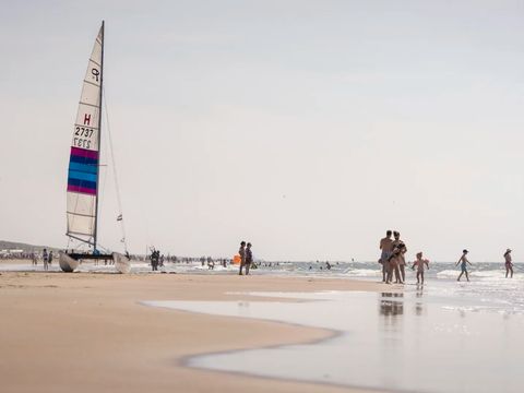 Landal Zandvoort - Zandvoort - Image N°3