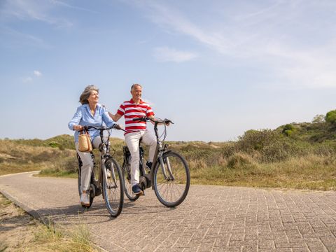 Landal Zandvoort - Zandvoort
