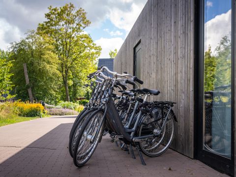 Landal Glamping Lauwersmeer - Das Hochland
