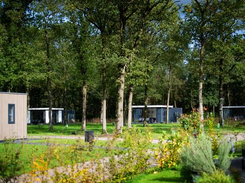 Park Drentheland - Westerveld - Image N°2