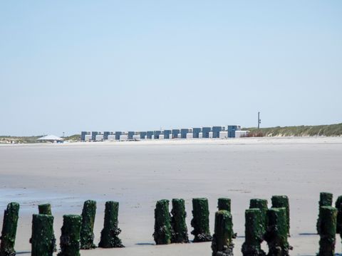 Camping Zonneweelde - Sluis - Image N°35