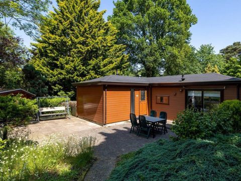 Bungalowpark Het Verscholen Dorp - Harderwijk - Image N°30