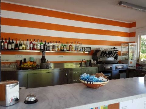 Camping Taimi - Camping Massa-Carrara - Image N°5