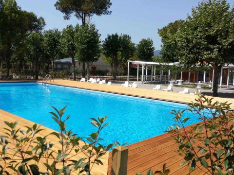 Camping Taimi - Camping Massa-Carrara - Image N°0