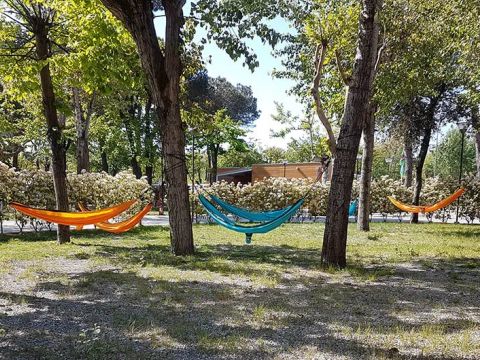 Camping Taimi - Camping Massa-Carrara - Image N°4