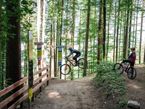 EuroParcs Ossiacher See - Kärnten - Image N°17
