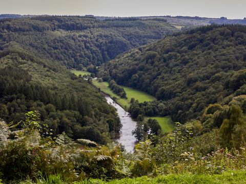 Landal Hillview Resort Grandvoir - Belgisches Luxemburg - Image N°37