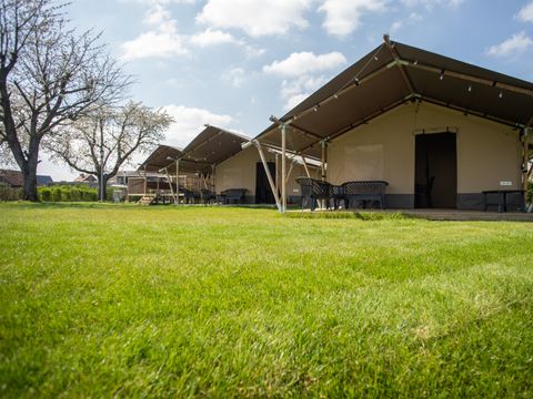 Vodatent Camping de Boomgaard - Belgisches Limburg - Image N°14